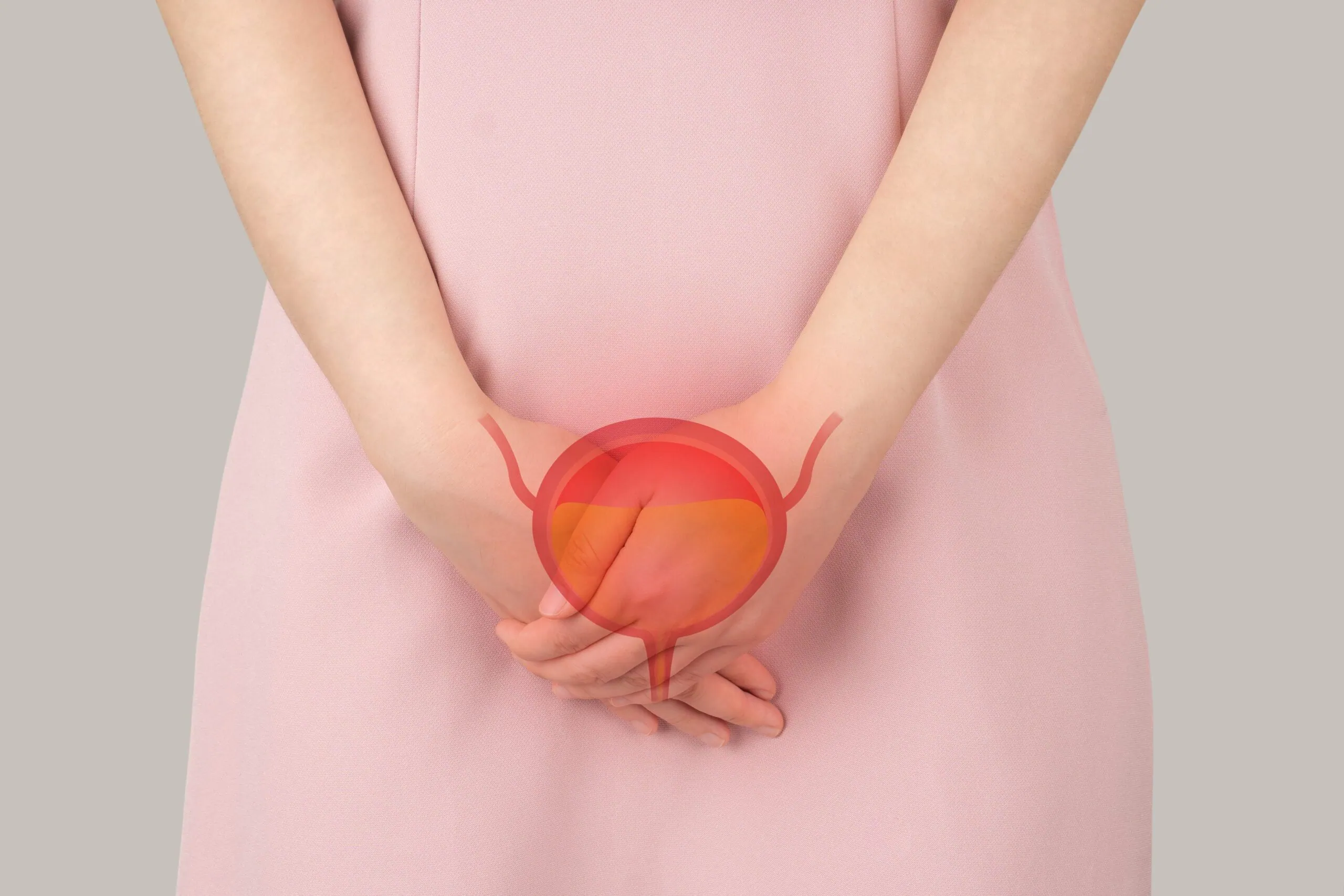 Bladder,with,urine,illustration,on,female,body,against,gray,background.